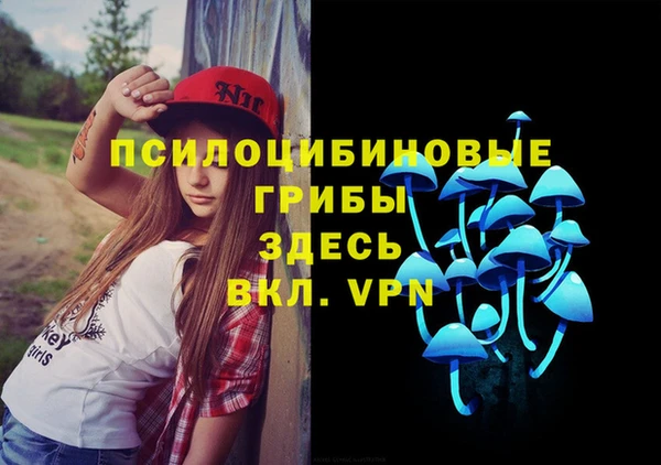 молекула духа Армянск